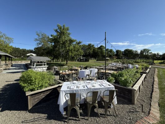 Chef-led dinners held in the Herb Garden