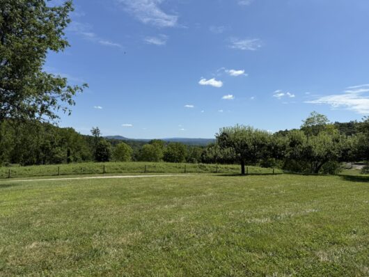 View of the Appalacian Mountains from the Farm's Orchard where wedding ceremonies can be held