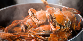 all you can eat crabs spots in New Jersey