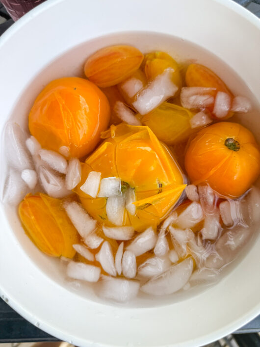 yellow tomatoes after blanching
