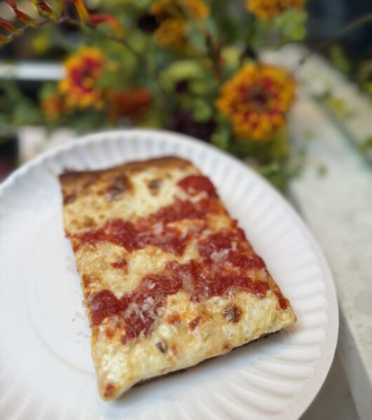 a slice of pizza from Corner Square Maplewood, NJ