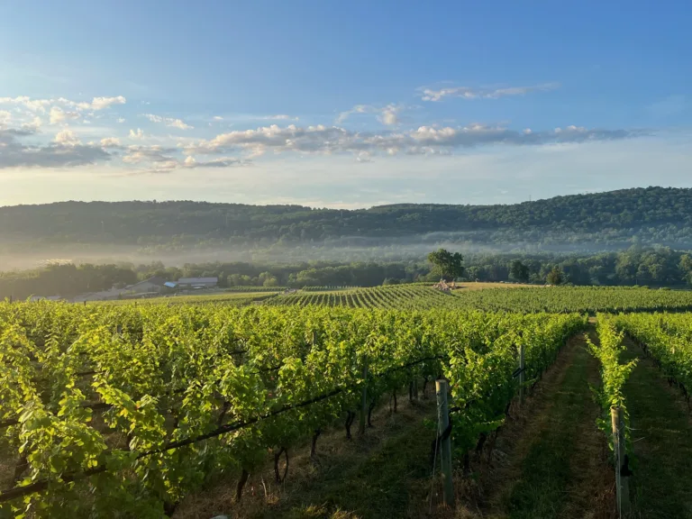 Seven New Jersey Wineries Offer “2 for $26” Tasting Deal