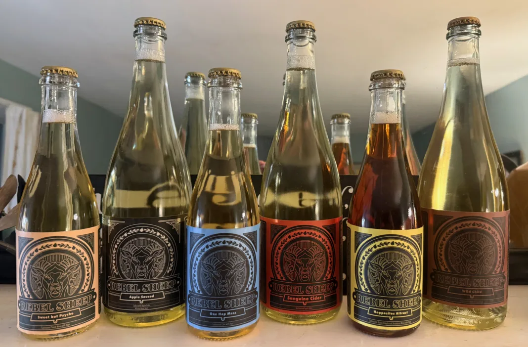 Rebel Sheep Cider selection