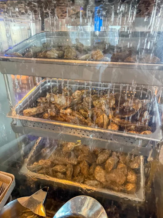 Waterfall oyster display and raw bar at Drifthouse in Sea Bright, NJ