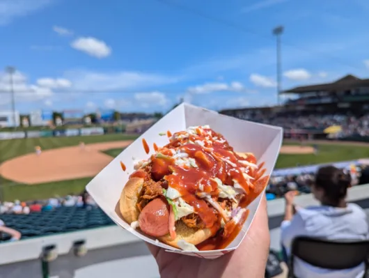 A dog from Smokie's Sausage and Hot Dogs A dog from Smokie's Sausage and Hot Dogs topped with pulled pork, coleslaw, and BBQ sauce.