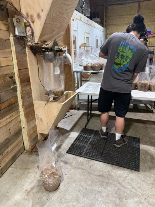 Worker preparing Master’s Mix substrate for growing organic mushrooms at Two River Gourmet Mushrooms in New Jersey